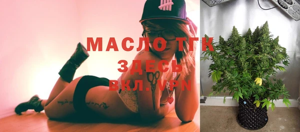 дмт Пересвет