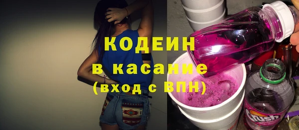 дмт Пересвет