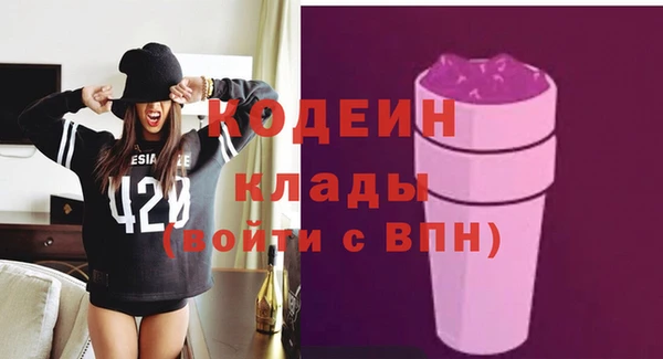 дмт Пересвет