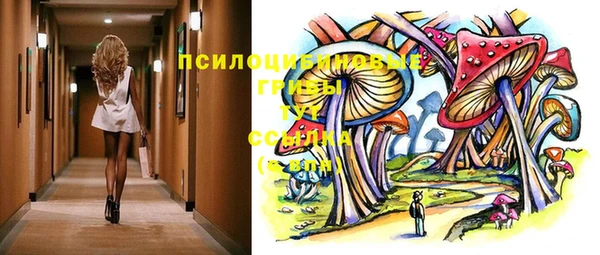 мяу мяу кристалл Переславль-Залесский