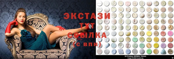 дмт Пересвет