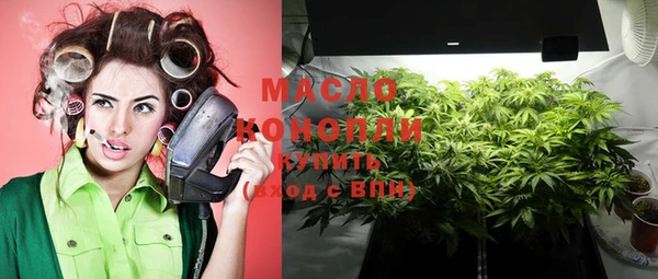 дмт Пересвет