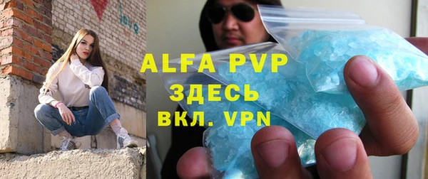 дмт Пересвет