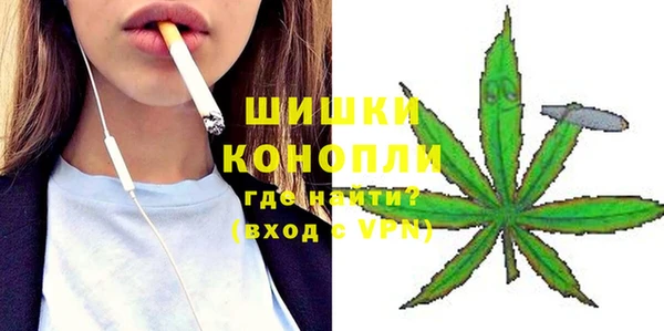 дмт Пересвет